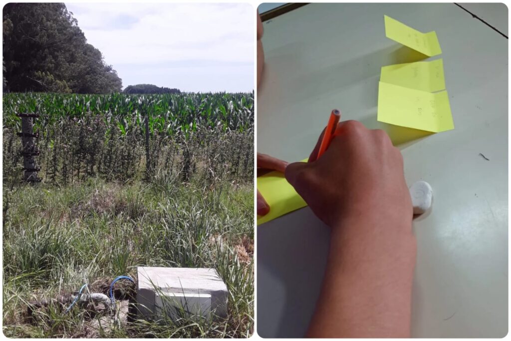 Percepción de riesgo, actitudes y decisiones en el uso de productos plaguicidas en Tandil