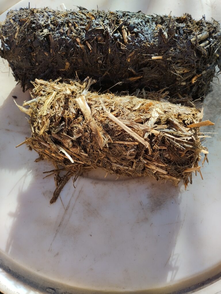Briquetas de biomasa en escuelas rurales