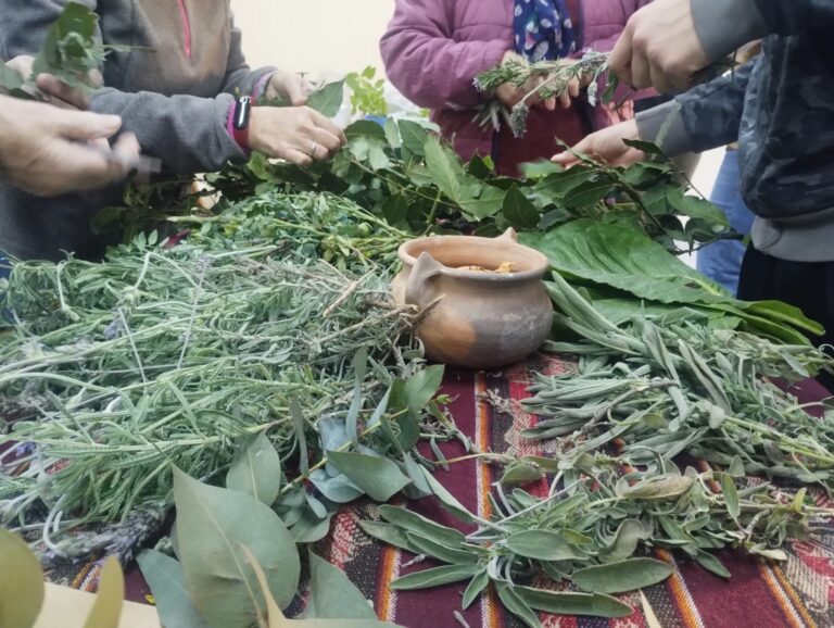 Yuyeras Silvestres. Entre la cocina y la vereda, la sabiduría de los pueblos y la generosidad de las plantas