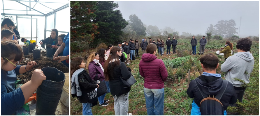 Nativas en Red: fortaleciendo la red socio-ecológica de Tandil