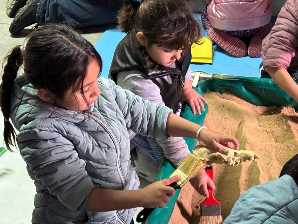Talleres de Arqueología