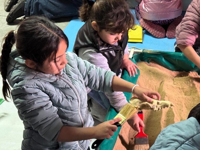 Talleres de Arqueología