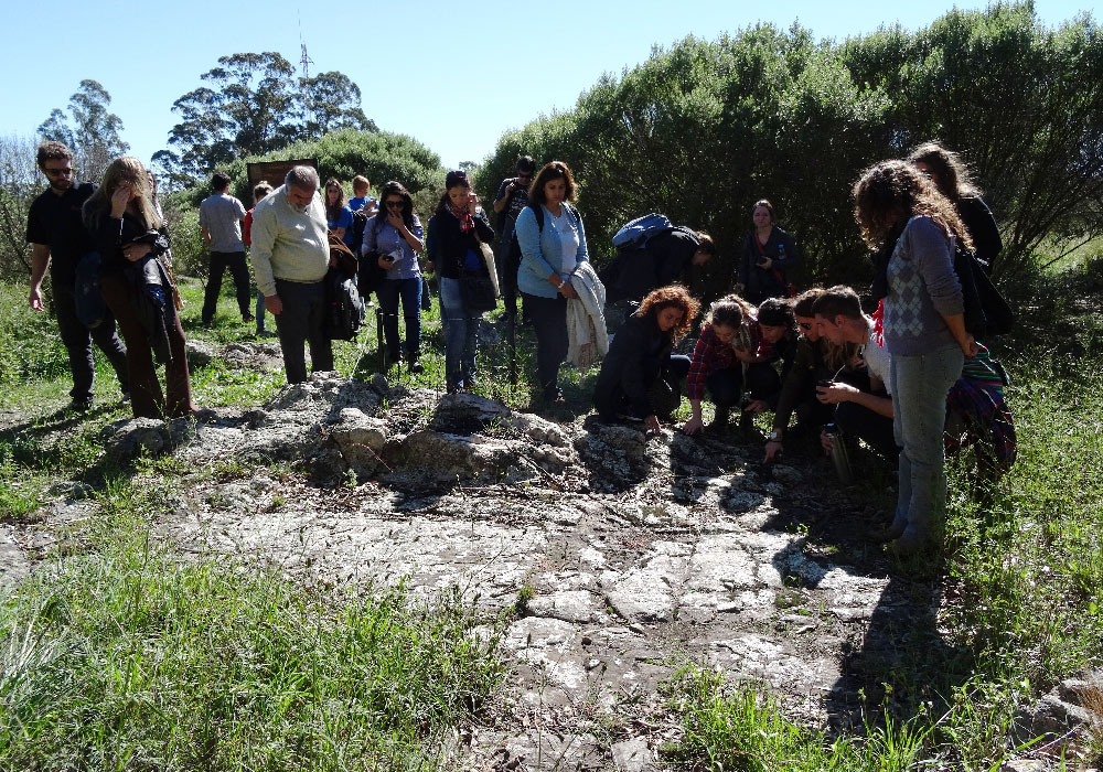 Trayecto formativo interpretando Tandilia desde el paisaje local: vecinos anfitriones